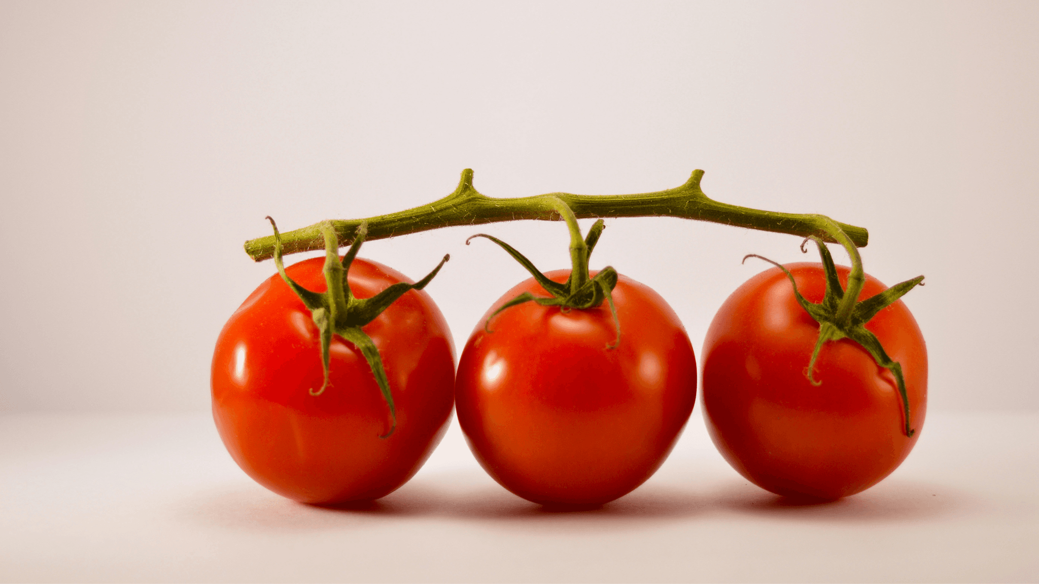 C'est la saison des tomates : | Mammafiore