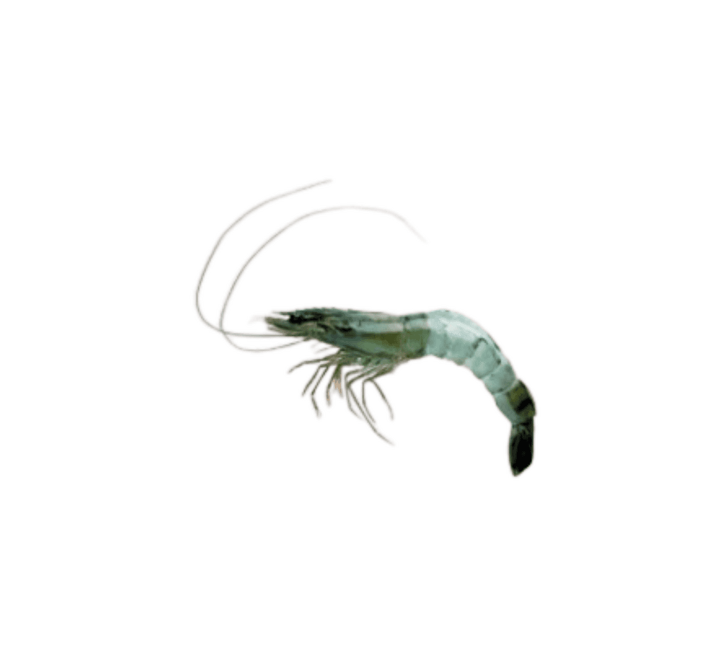 800g | Mammafiore